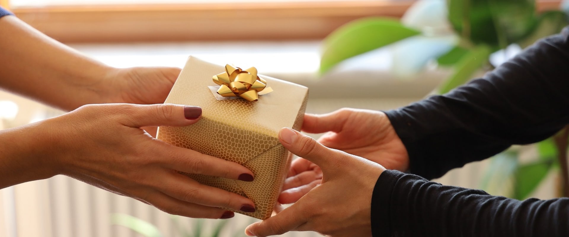 Tax Benefits of Donating to Service Organizations in Suffolk County