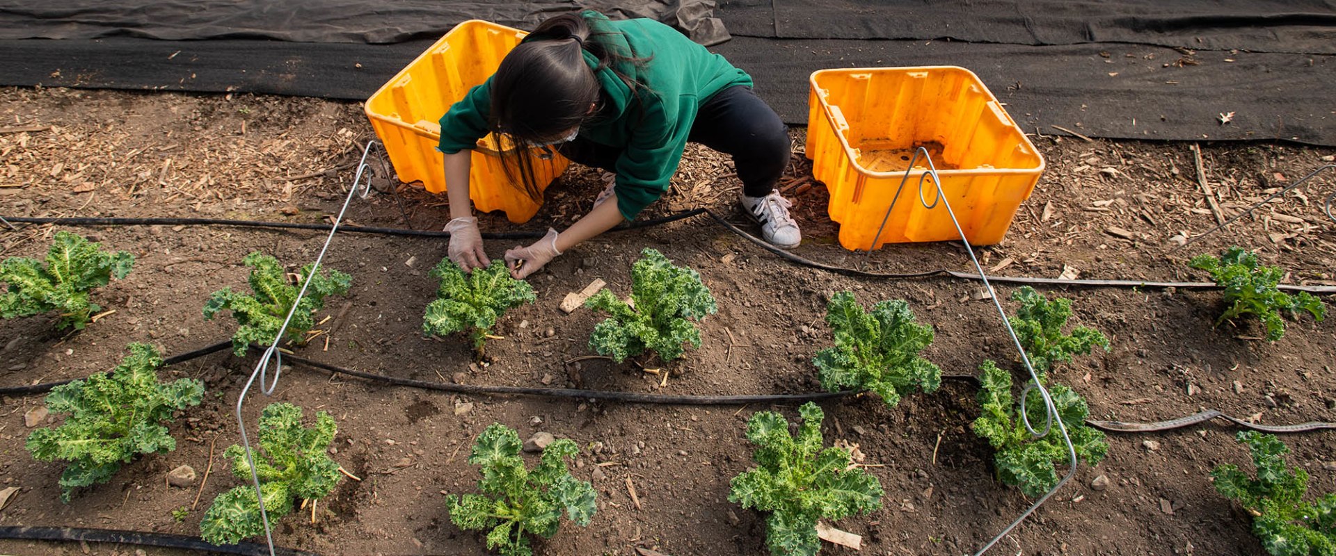 Volunteering in Suffolk County: Services and Opportunities to Make a Difference