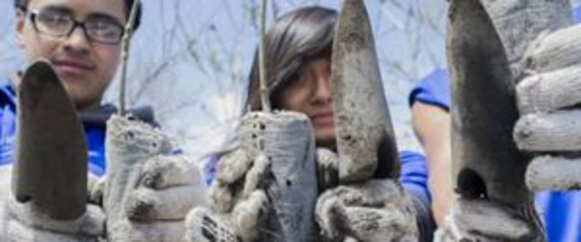 Volunteering in Suffolk County: Make a Difference Today!