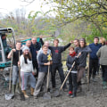 Strengthening Suffolk County: The Impact Of Voluntary Organizations