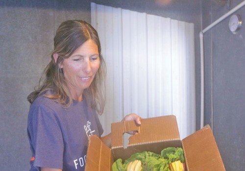The Transformation of Voluntary Organizations in Suffolk County